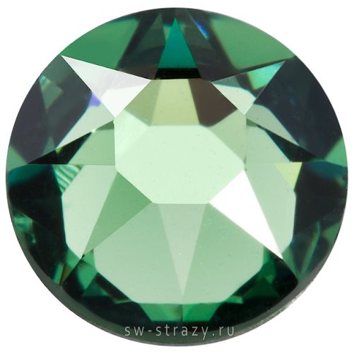 2088 ss 20 Erinite F