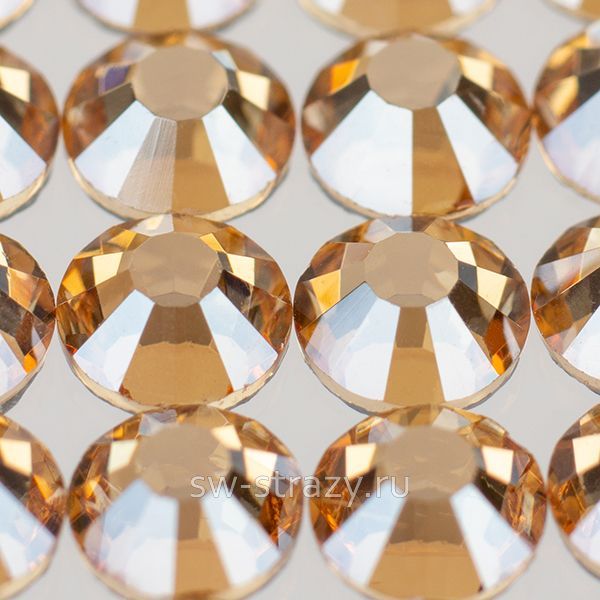 YHB 28 ss20 Golden Shadow HF 205